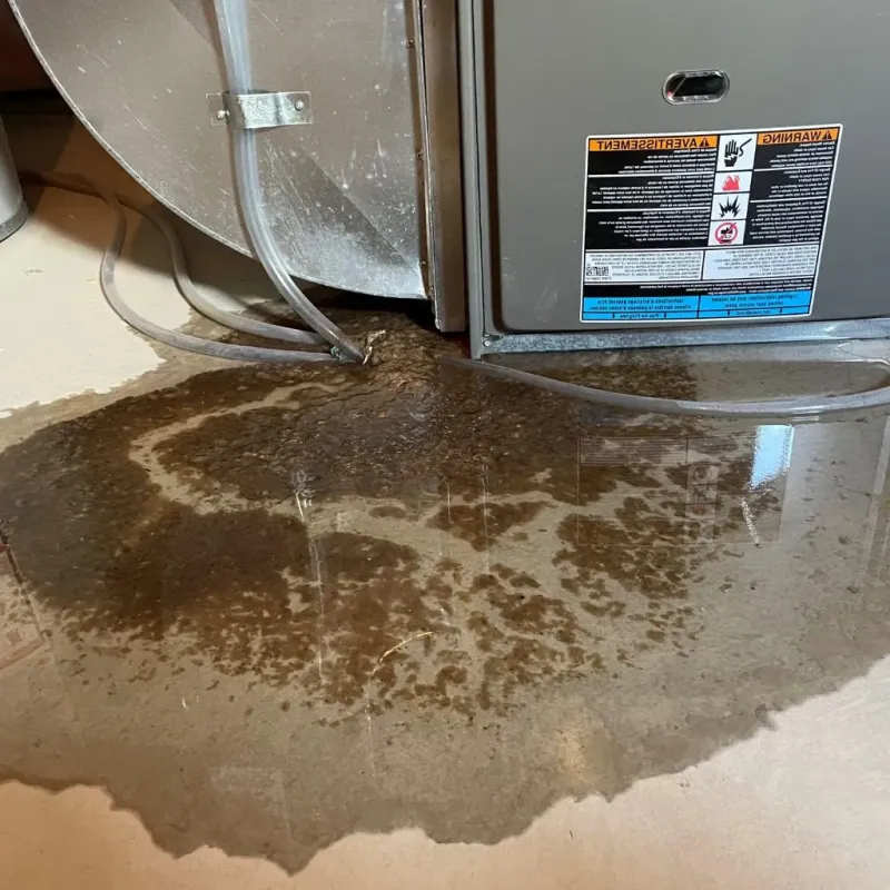 Pipe Burst and Leak Restoration in Fulton, KY