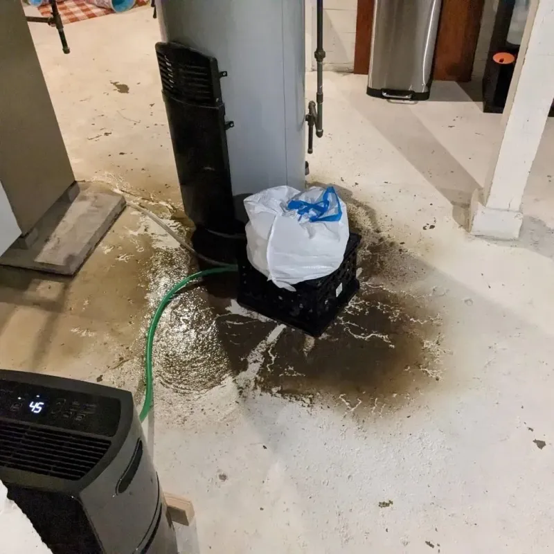 Sewage Backup Cleanup Service in Fulton, KY
